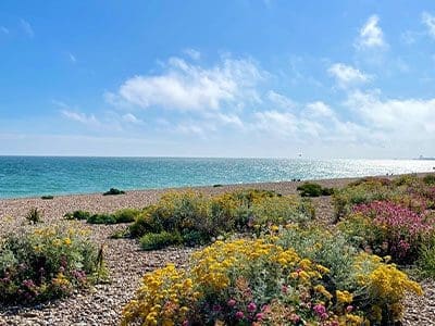 Shoreham-Beach-Places-to-Visit-visitors-map
